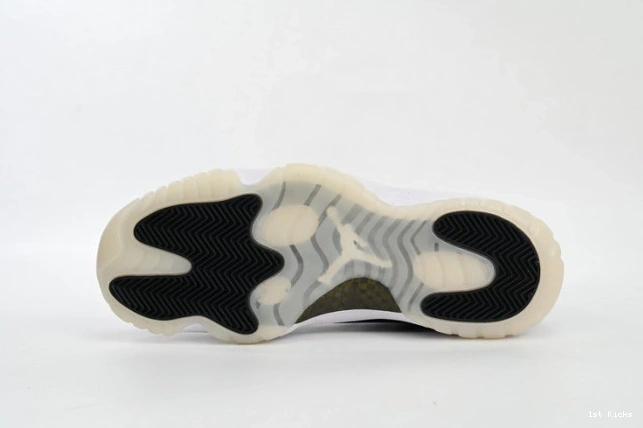 CT8012-170 Jordan Air 11 DMP 0816